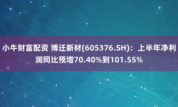 小牛财富配资 博迁新材(605376.SH)：上半年净利润同比预增70.40%到101.55%