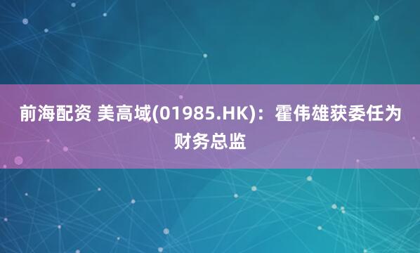 前海配资 美高域(01985.HK)：霍伟雄获委任为财务总监