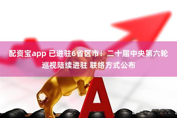 配资宝app 已进驻6省区市！二十届中央第六轮巡视陆续进驻 联络方式公布