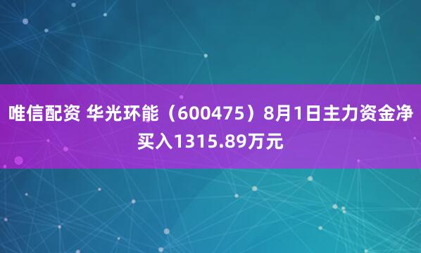 唯信配资 华光环能（600475）8月1日主力资金净买入1315.89万元