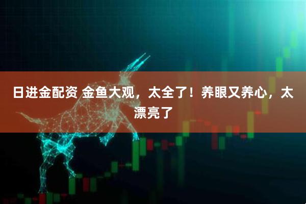 日进金配资 金鱼大观，太全了！养眼又养心，太漂亮了